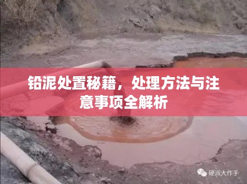 屈尊就卑 第4页