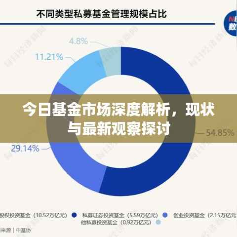 今日基金市场深度解析,现状与最新观察探讨