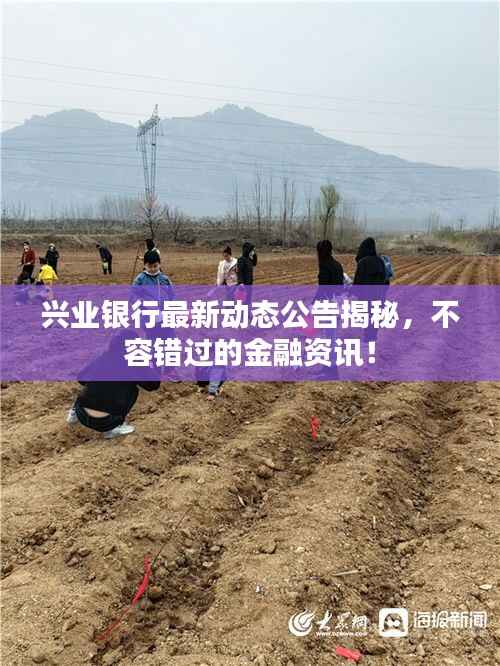 兴业银行最新动态公告揭秘，不容错过的金融资讯！