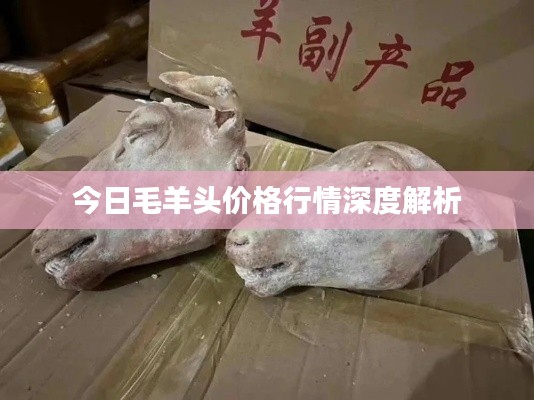 今日毛羊头价格行情深度解析