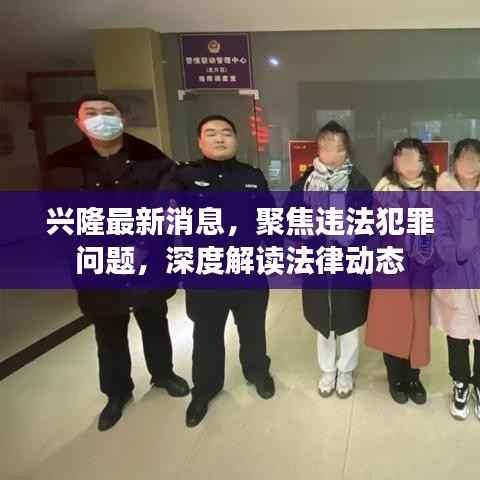 兴隆最新消息,聚焦违法犯罪问题,深度解读法律动态
