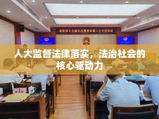人大监督法律落实,法治社会的核心驱动力