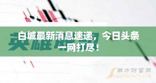 白城最新消息速递,今日头条一网打尽!
