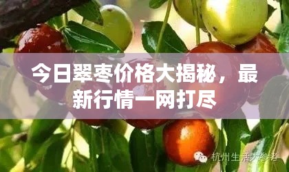 今日翠枣价格大揭秘,最新行情一网打尽
