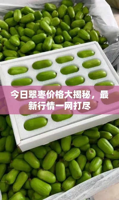今日翠枣价格大揭秘,最新行情一网打尽