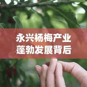 一席之地 第4页