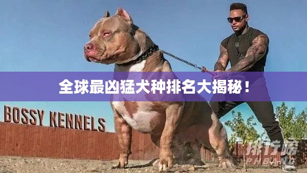 全球最凶猛犬种排名大揭秘!