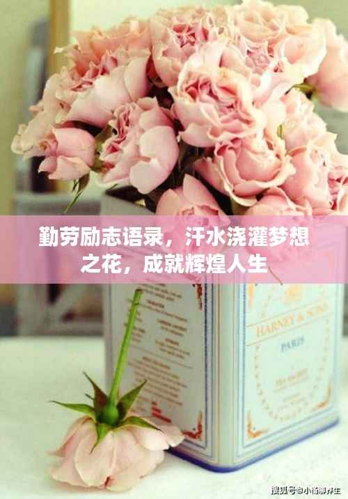 勤劳励志语录，汗水浇灌梦想之花，成就辉煌人生