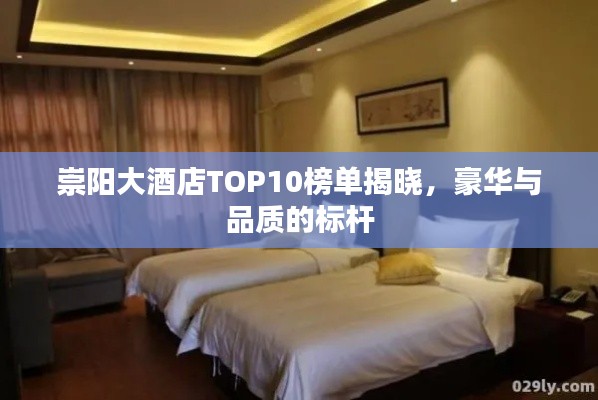 崇阳大酒店TOP10榜单揭晓,豪华与品质的标杆