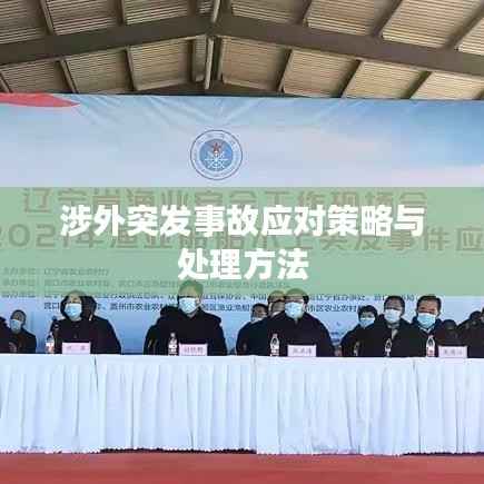 涉外突发事故应对策略与处理方法