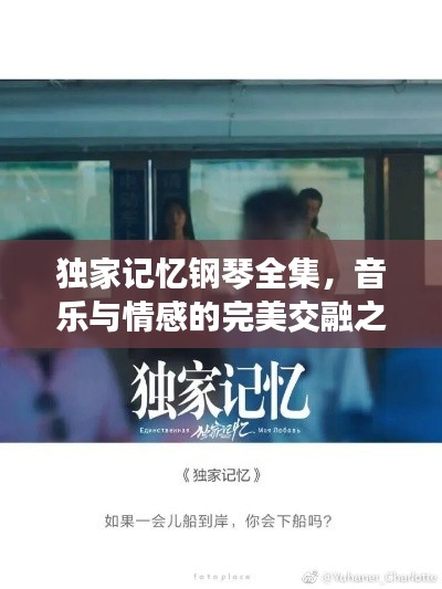 独家记忆钢琴全集,音乐与情感的完美交融之美