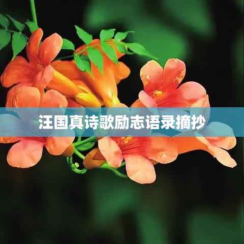 鸟集鳞萃 第4页