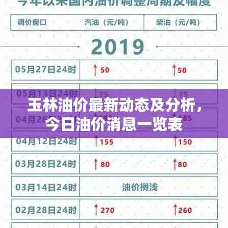 玉林油价最新动态及分析,今日油价消息一览表