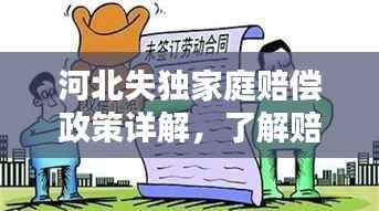 河北失独家庭赔偿政策详解，了解赔偿权益，维护家庭权益