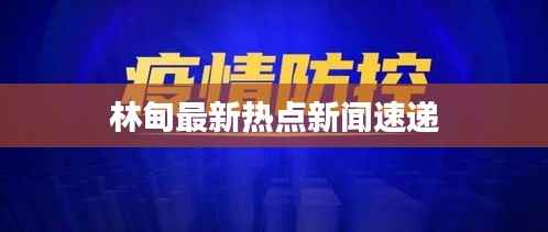 林甸最新热点新闻速递