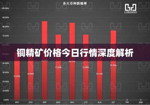 铜精矿价格今日行情深度解析