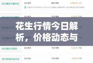 花生行情今日解析,价格动态与最新走势探讨