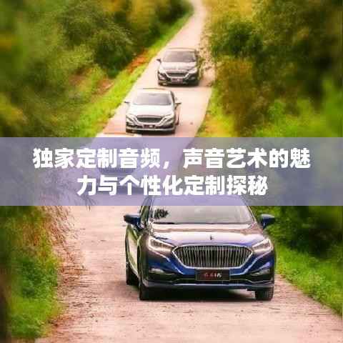 独家定制音频,声音艺术的魅力与个性化定制探秘