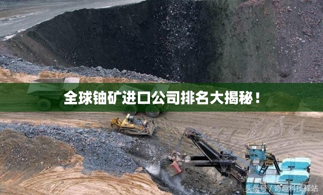 全球铀矿进口公司排名大揭秘!