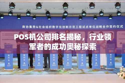 POS机公司排名揭秘,行业领军者的成功奥秘探索