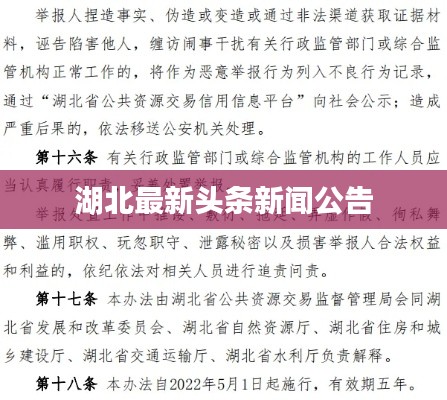 湖北最新头条新闻公告