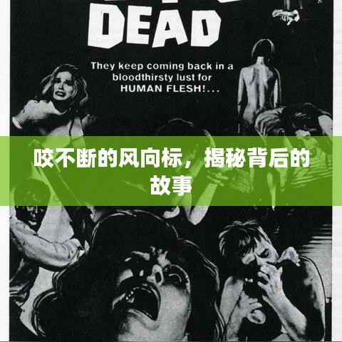 咬不断的风向标，揭秘背后的故事