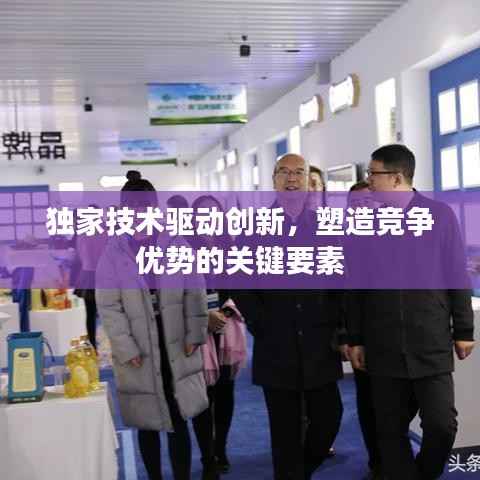独家技术驱动创新,塑造竞争优势的关键要素