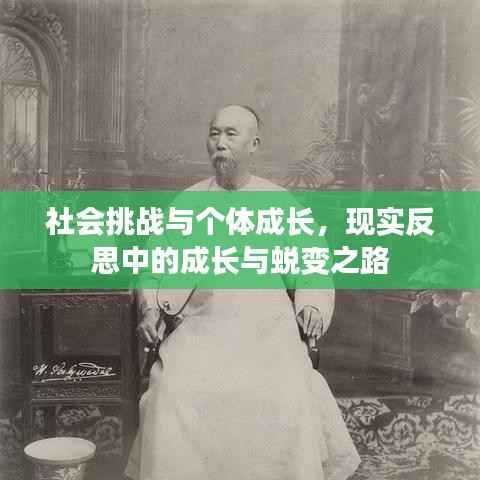 社会挑战与个体成长，现实反思中的成长与蜕变之路