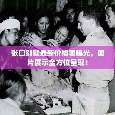 张口别墅最新价格表曝光,图片展示全方位呈现!