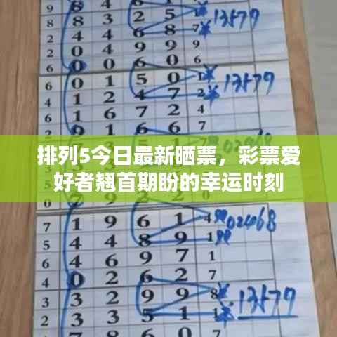 排列5今日最新晒票，彩票爱好者翘首期盼的幸运时刻
