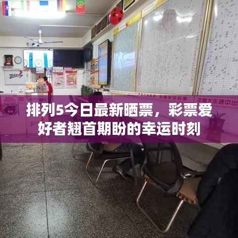 排列5今日最新晒票,彩票爱好者翘首期盼的幸运时刻