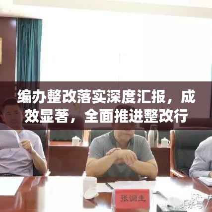 编办整改落实深度汇报,成效显著,全面推进整改行动