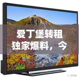爱丁堡转租独家爆料，今日最新动态一网打尽！