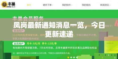 凤岗最新通知消息一览，今日更新速递