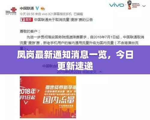 凤岗最新通知消息一览,今日更新速递