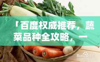 「百度权威推荐,蔬菜品种全攻略,一览无余!」