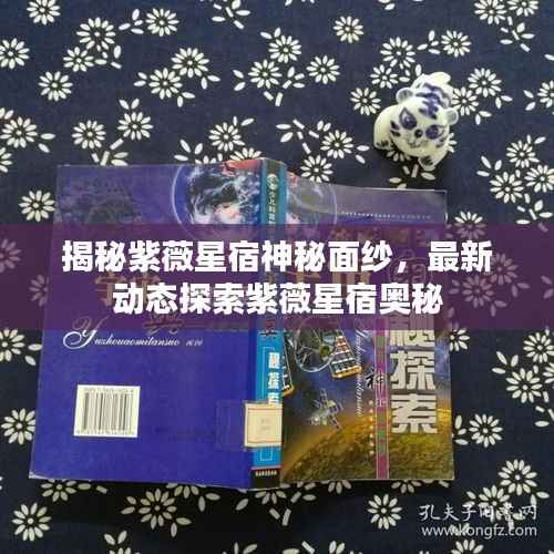 揭秘紫薇星宿神秘面纱,最新动态探索紫薇星宿奥秘