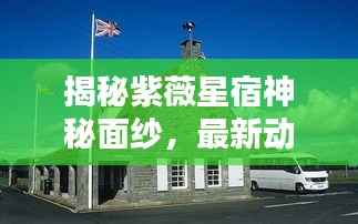 揭秘紫薇星宿神秘面纱,最新动态探索紫薇星宿奥秘