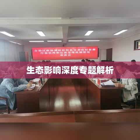 生态影响深度专题解析