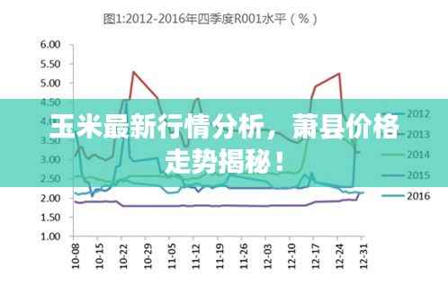 玉米最新行情分析,萧县价格走势揭秘!