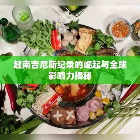 越南吉尼斯纪录的崛起与全球影响力揭秘