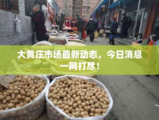 大黄庄市场最新动态,今日消息一网打尽!