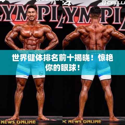 不飞则已 第4页