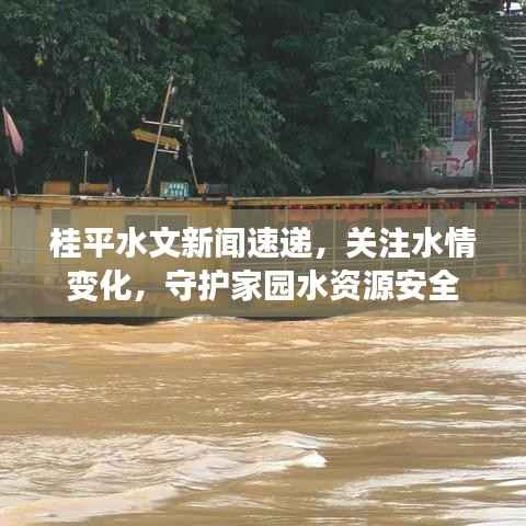 桂平水文新闻速递，关注水情变化，守护家园水资源安全