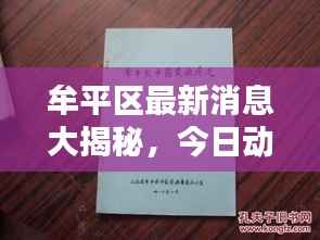 牟平区最新消息大揭秘，今日动态综述报道！