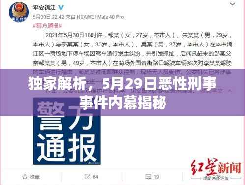 独家解析，5月29日恶性刑事事件内幕揭秘