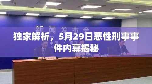 独家解析,5月29日恶性刑事事件内幕揭秘
