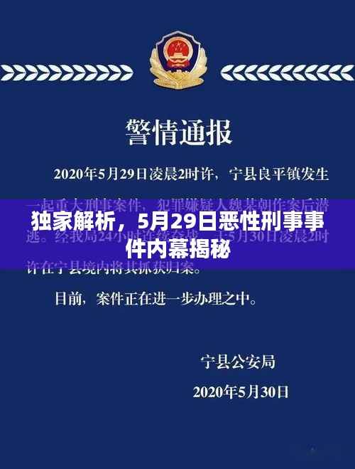 独家解析,5月29日恶性刑事事件内幕揭秘