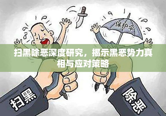 扫黑除恶深度研究,揭示黑恶势力真相与应对策略