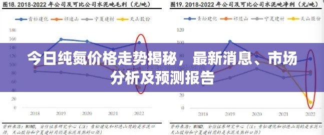 今日纯氮价格走势揭秘,最新消息、市场分析及预测报告